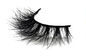 Long Lasting Invisible Band Eyelashes , Black Natural Looking False Eyelashes supplier
